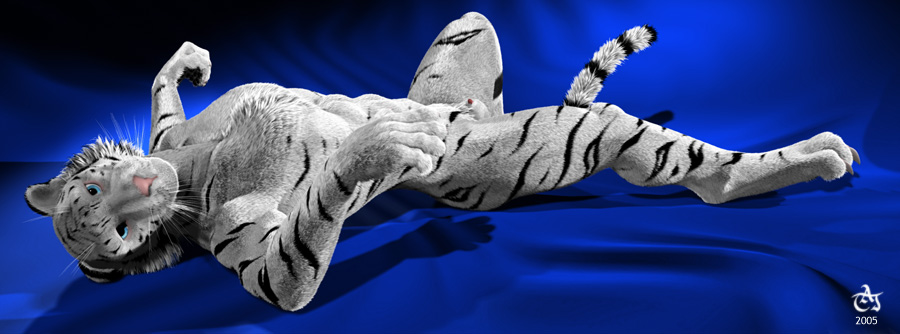 bengal bengal_tiger blue_eyes feline looking_at_viewer lying male mammal nude on_back penis solo taj tiger