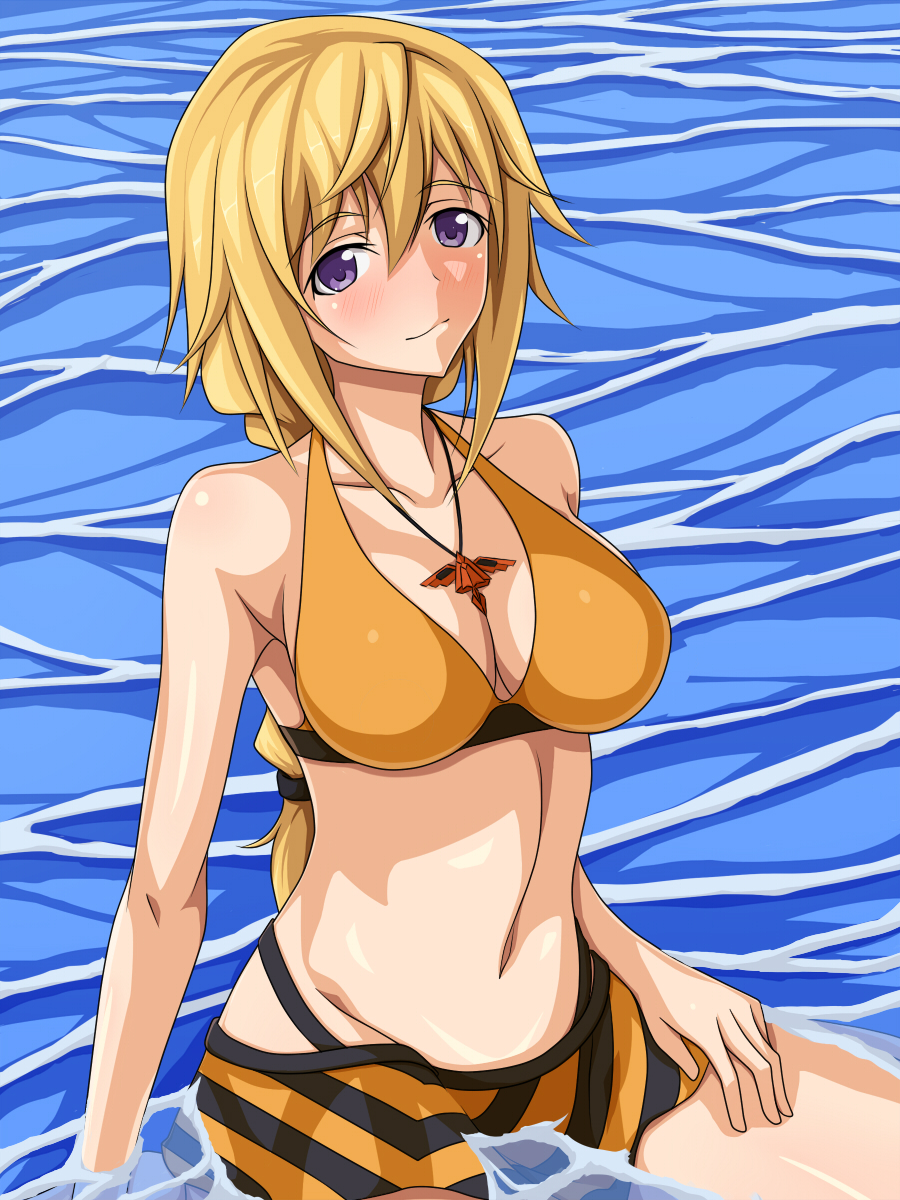 bikini blonde_hair blush braid breasts charlotte_dunois hand_on_thigh highres infinite_stratos jewelry large_breasts long_hair mei_ichi navel pendant purple_eyes solo swimsuit water