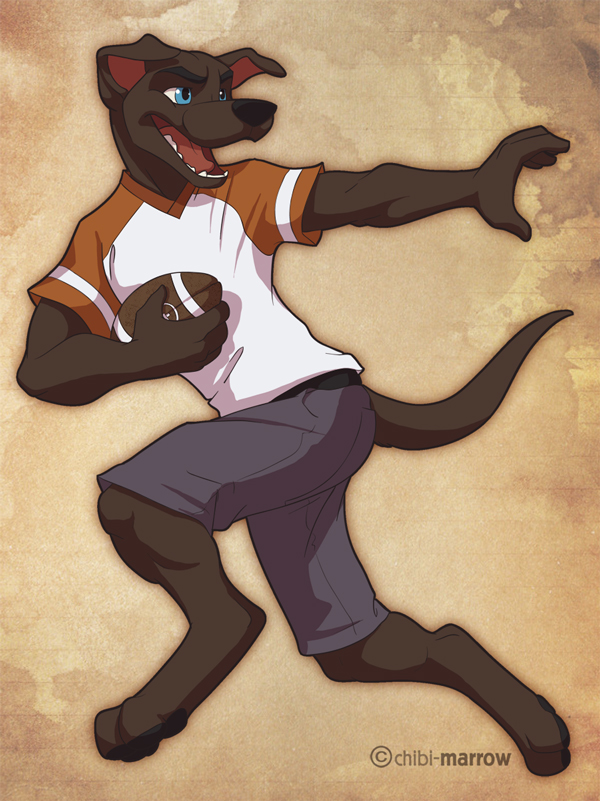 abstract_background canine chibi-marrow dog football male open_mouth running solo