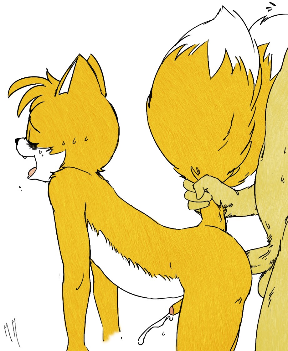anal_penetration anthro battle_angel canine cum cumshot duo fox fox_tail gay hands-free male mammal mcmeow miles_prower multiple_tails nude orgasm penetration penis sega sonic_(series) tail_grab tails