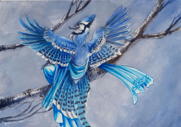 avian back_turned beak bird blue_feathers blue_jay blue_theme branch clothing cool_colors female heather_bruton looking_at_viewer looking_back sitting solo spread_wings tree winged_arms wings wood
