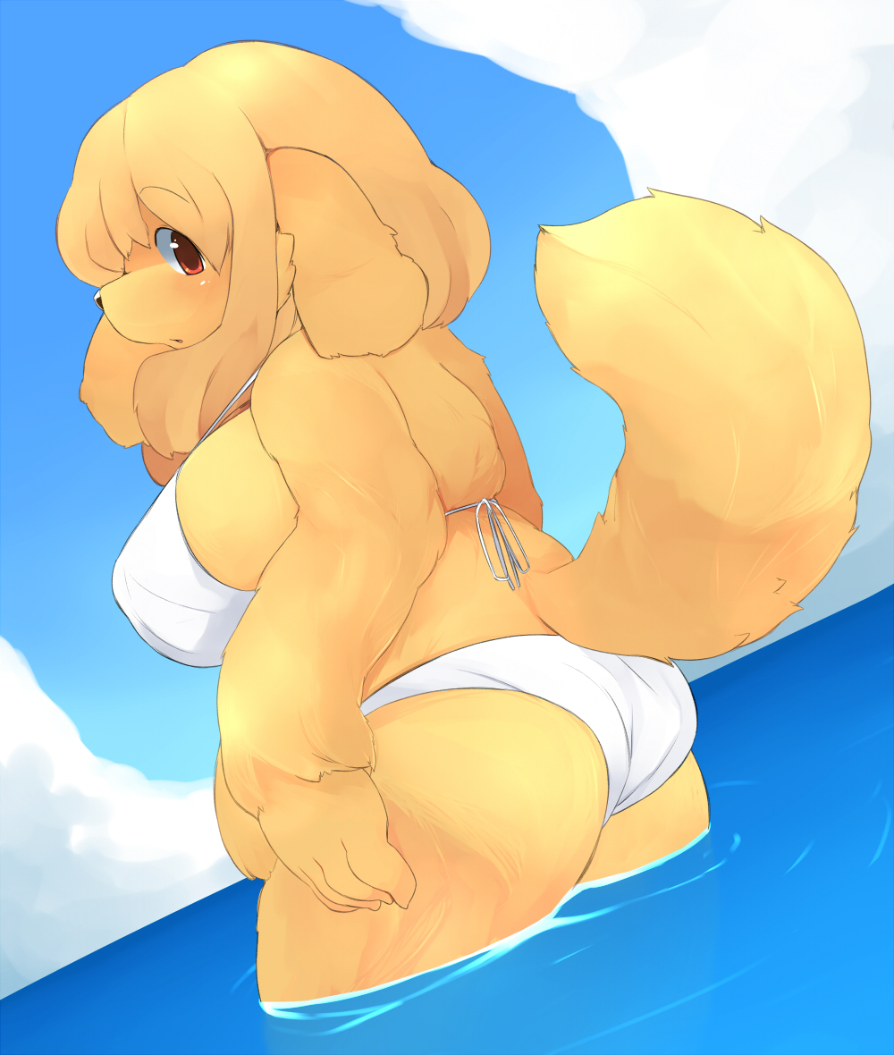 bikini blonde_hair breasts canine chubby clothed clothing dog female hair looking_back mammal mcdonnell-douglas skimpy sky swimsuit water