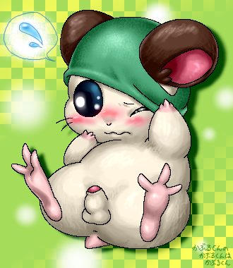 cappy hamtaro tagme