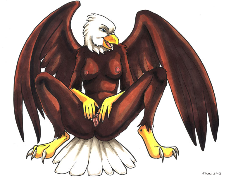 avian ayame_emaya bald_eagle beak bird blue_eyes breasts eagle female nipples nude plain_background pussy solo spread_legs spread_pussy spreading white_background wings