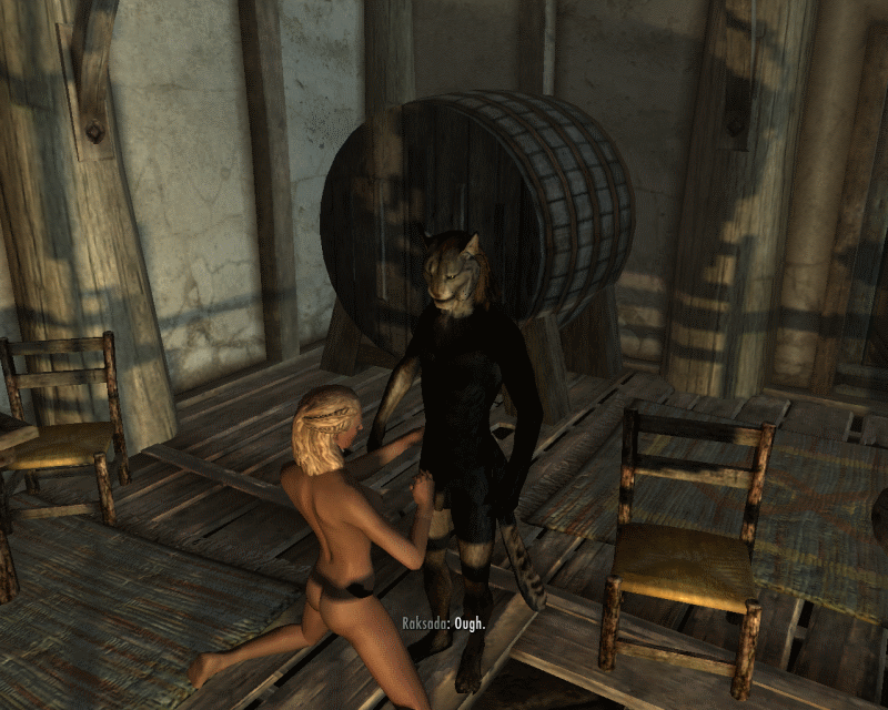 khajiit nord skyrim tagme the_elder_scrolls