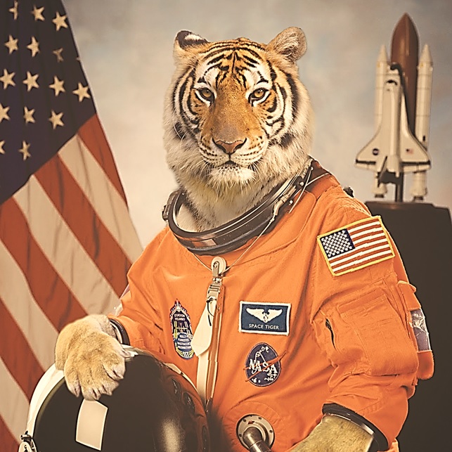 astronauts digimon digimon_tamers flag game_cg mammal shota tiger