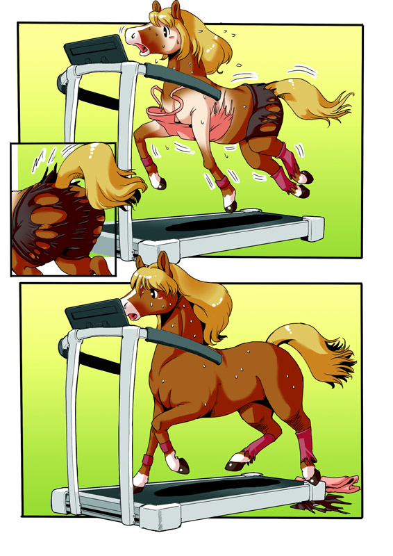 edmol equine horse mammal runningmachine transformation treadmill