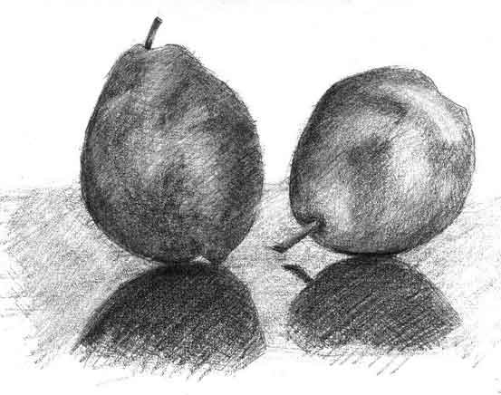 drawing food fruit original pear pixiv still_life uma-kotsu uma-kotsu_(artist)