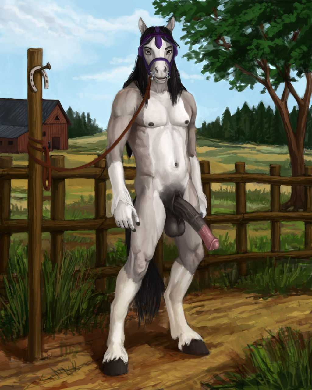 anthro at balls black_hair countryside equine erection farm hair hooves horse horsecock looking_at_viewer male mammal morticus nude outside penis solo stare stud viewer