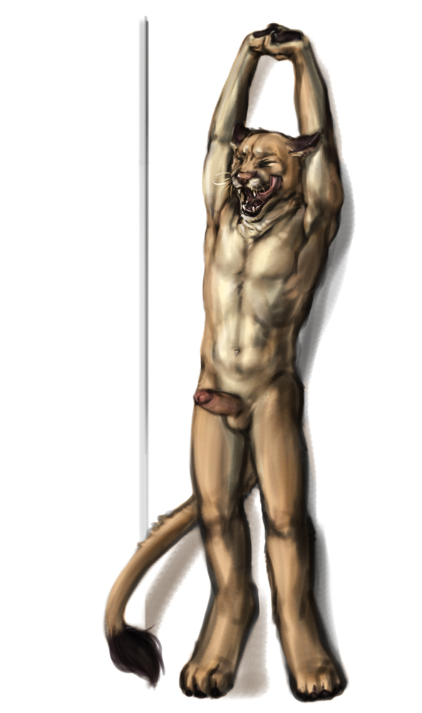 anakuro anthro balls biceps cougar erection eyes_closed feline hirple licking licking_lips lion male mammal morning_wood muscles navel nude open_mouth pecs penis plain_background pose sketch solo standing stretching tongue tongue_out whiskers white_background yawn