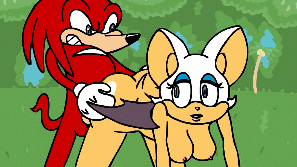 animated knuckles_the_echidna rouge_the_bat sonic_team tagme
