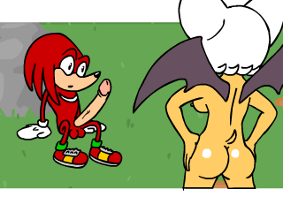 animated knuckles_the_echidna rouge_the_bat sonic_team tagme