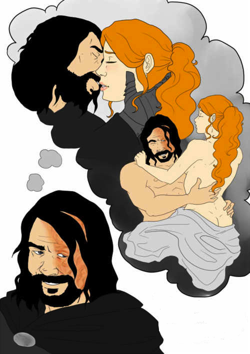 a_song_of_ice_and_fire literature sandor_clegane sansa_stark tagme