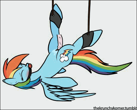 animated friendship_is_magic my_little_pony rainbow_dash tagme