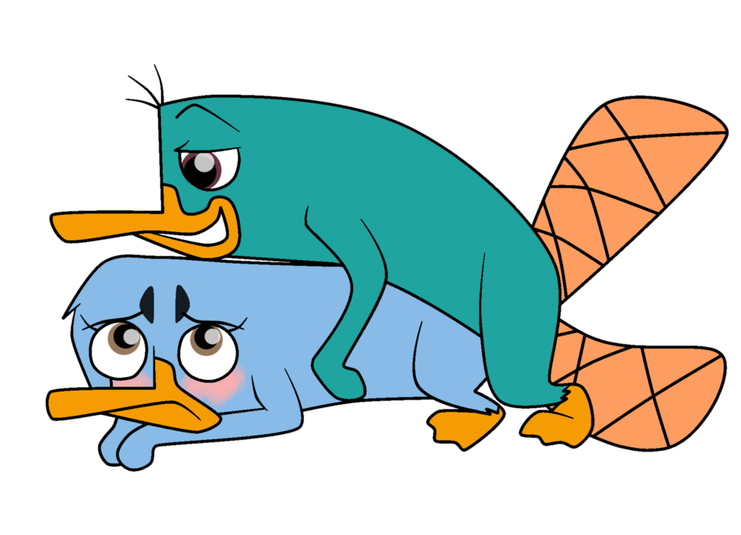 perry_the_platypus phineas_and_ferb tagme