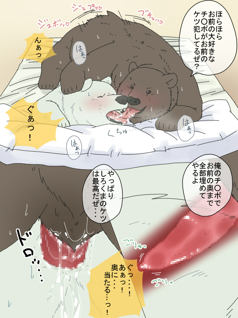 grizzly polar_bear polar_bear_cafe shirokuma shirokuma_cafe