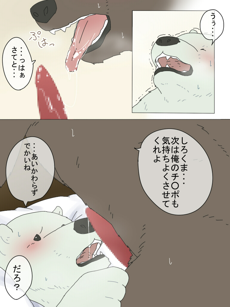 grizzly polar_bear polar_bear_cafe shirokuma shirokuma_cafe
