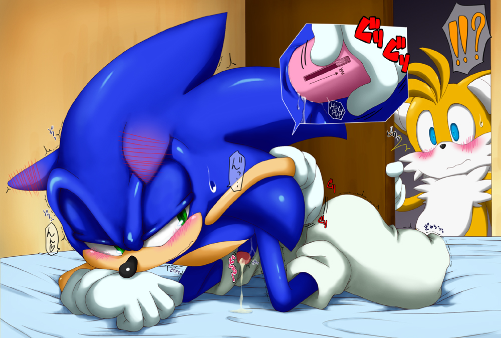 sonic_team sonic_the_hedgehog tagme tails