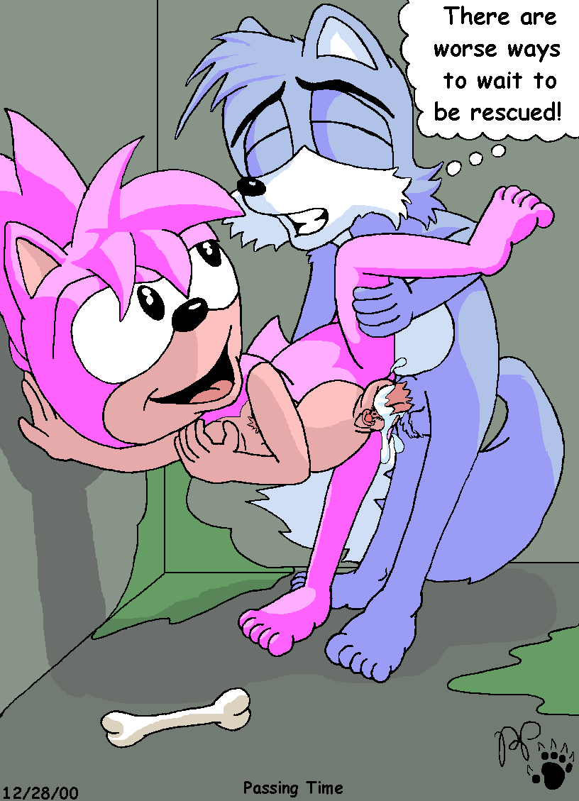 amy_rose kthanid sonic_cd sonic_team tagme