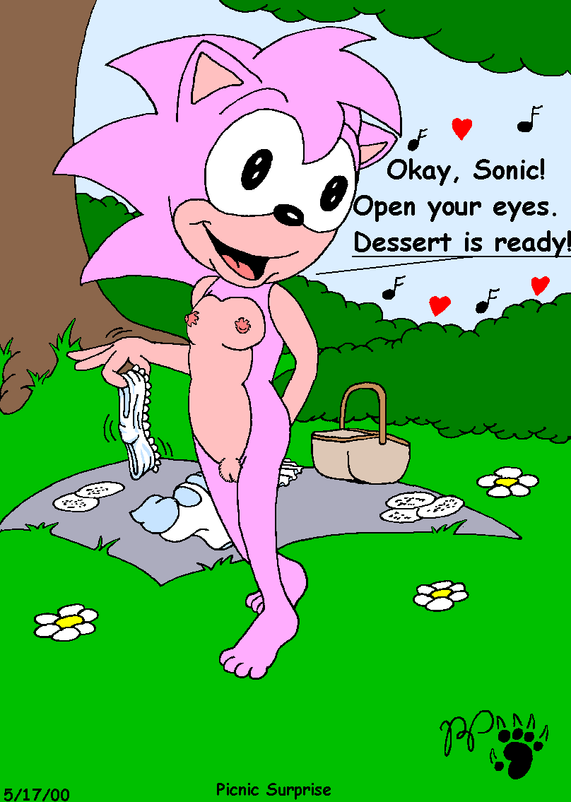 amy_rose kthanid sonic_cd sonic_team tagme