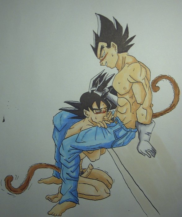 dragon_ball_z son_goku tagme vegeta