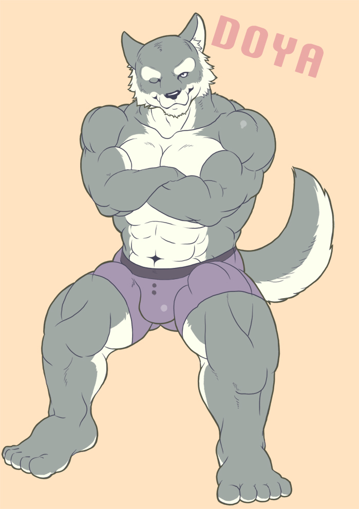 anthro bicep biceps big_muscles boxers bulge canine crossed_arms doya fur grey_fur male mammal muscles pecs pose sitting solo topless underwear white_fur wolf