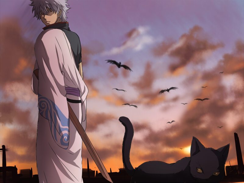 bird bokken cat crow gintama hadanugi_dousa japanese_clothes kimono long_sleeves male_focus maruki_(punchiki) sakata_gintoki short_sleeves silver_hair sword weapon wooden_sword