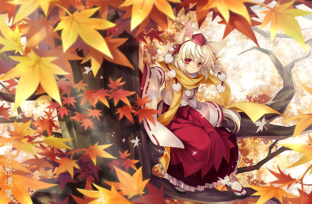 animal_ears autumn_leaves blush detached_sleeves hat in_tree inubashiri_momiji japanese_clothes leaf maple_leaf outdoors red_eyes ribbon-trimmed_sleeves ribbon_trim riv sandals scarf short_hair sitting sitting_in_tree solo tabi tail tokin_hat touhou tree white_hair white_legwear wolf_ears wolf_tail yellow_scarf