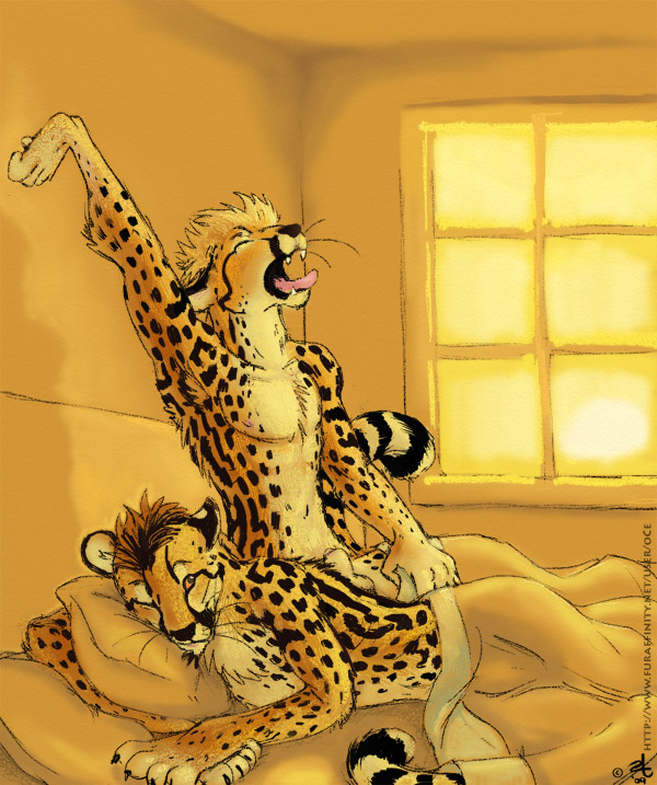 balls bed cheetah feline fleetfoot king_cheetah male mammal morning nude open_mouth stretching swiftfoot yawn