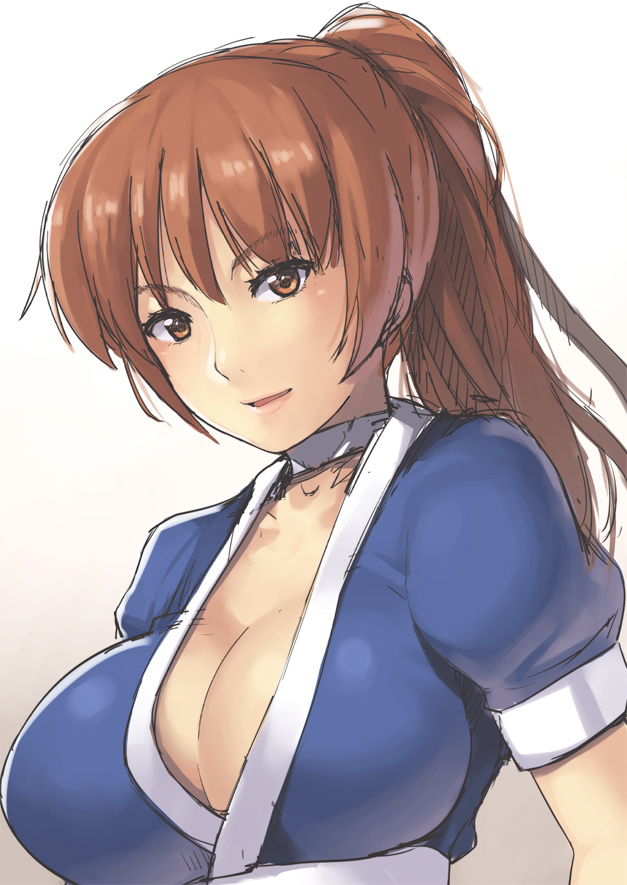 breasts brown_eyes brown_hair choker cleavage dead_or_alive kasumi_(doa) large_breasts long_hair nagase_haruhito simple_background solo