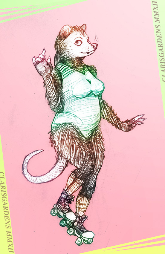 breasts chubby clarisgardens clothing female hair mammal marsupial oddwilds opossum overweight plain_background rollerskates smile socks