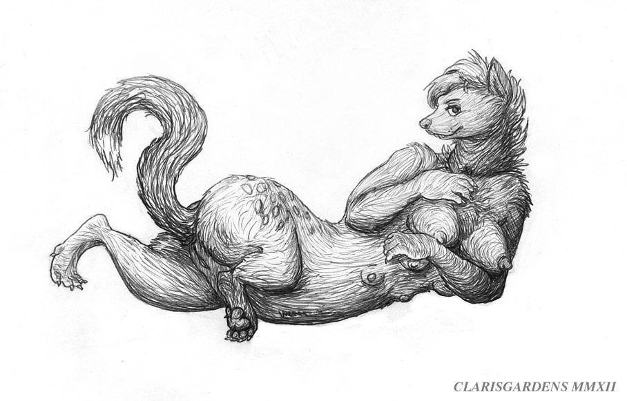 breasts butt clarisgardens claws ermine female feral hair hindpaw invalid_tag looking_at_viewer mammal multi_breast mustelid nipples nude oddwilds paws plain_background pussy sketch smile solo spreading stoat