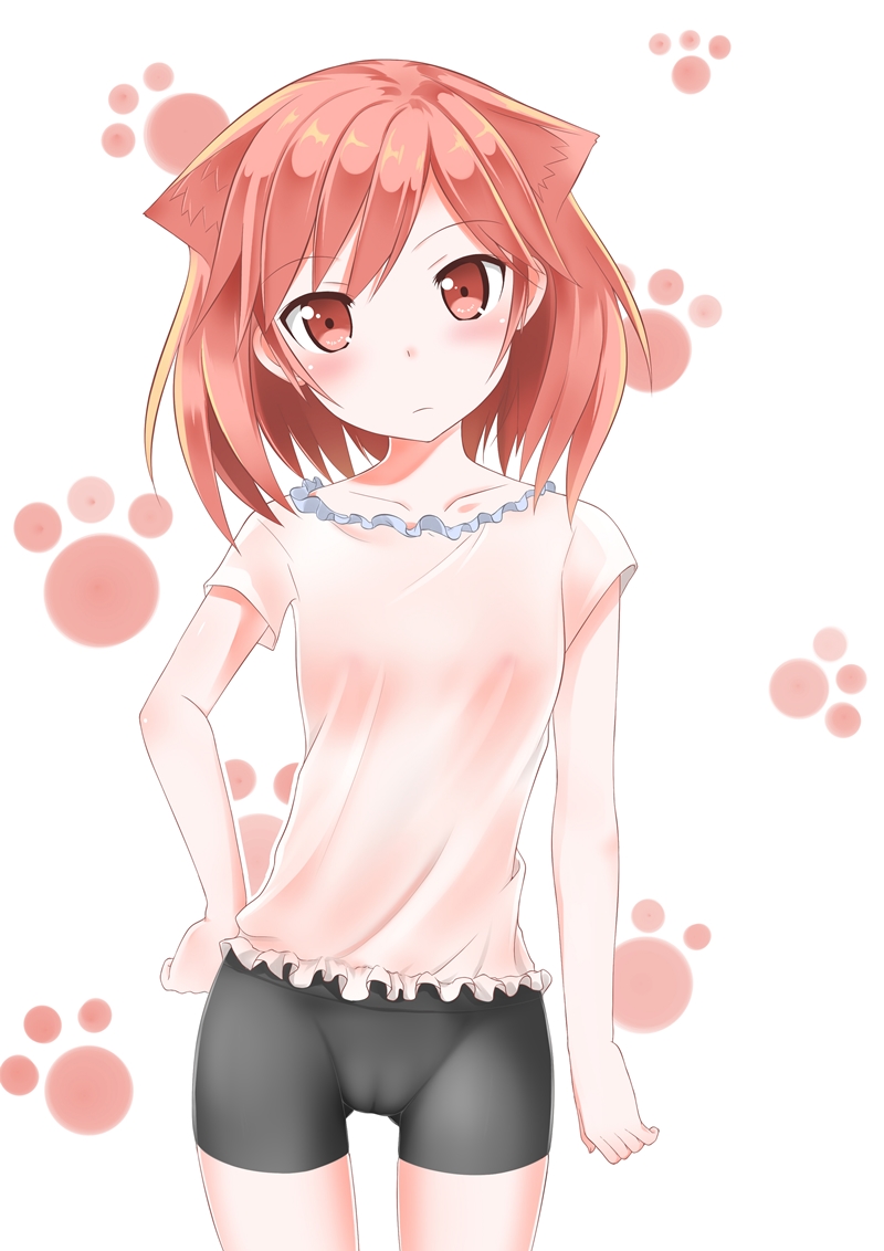 animal_ears bike_shorts blush cameltoe cat_ears catstudioinc_(punepuni) collarbone flat_chest hand_on_hip head_tilt nipples no_bra original paw_print puni_(miku_plus) red_eyes red_hair see-through shirt short_hair short_sleeves solo