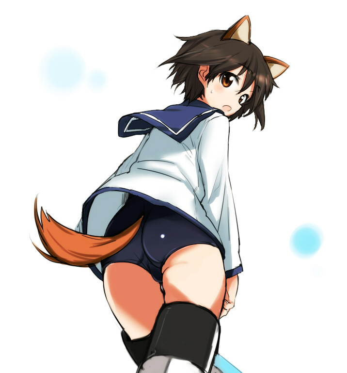 :o animal_ears ass blush brown_eyes brown_hair dakian from_behind long_sleeves looking_back miyafuji_yoshika school_swimsuit school_uniform short_hair solo strike_witches striker_unit sweatdrop swimsuit swimsuit_under_clothes tail tail_through_clothes world_witches_series