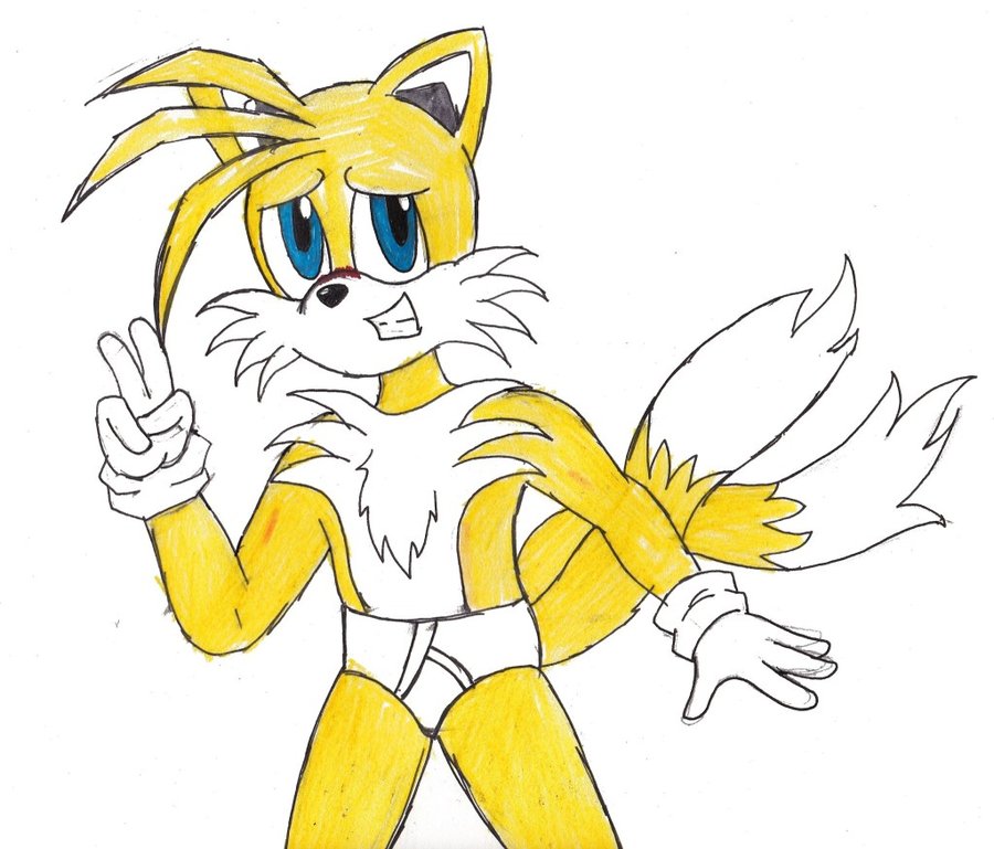 canine fox looking_at_viewer male mammal miles_prower muscles sega sonic_(series) underwear