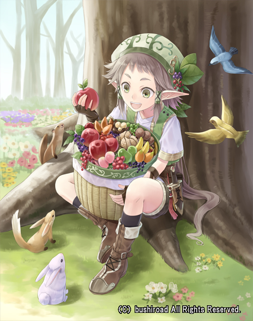 :d against_tree animal apple banana basket beret bird black_gloves black_legwear boots buckle bunny cardfight!!_vanguard cherry company_name cross-laced_footwear day elf fingerless_gloves flipped_hair flower flying food food_themed_ornament forest fruit fruits_basket_elf full_body gloves grapes grass green_eyes grey_hair hair_tubes happy hat hat_leaf holding kneehighs knife leaf long_hair long_pointy_ears looking_down low_ponytail male_focus nature official_art open_mouth outdoors pear pointy_ears ponytail sheath sheathed shirt short_sleeves shorts sidelocks sitting smile solo squirrel tadokoro_teppei tree very_long_hair vest watermark