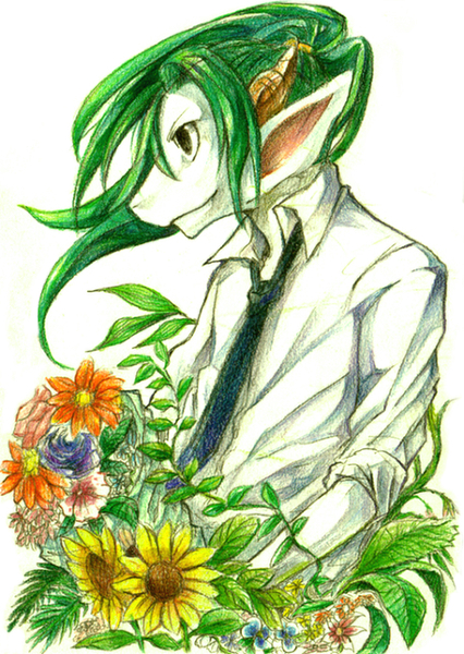 &#31452;&#39080; ?? brown_eyes dragon flower green_hair hair horn male necktie plain_background pose solo white_background