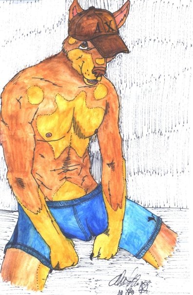 alinraven anthro biceps brown_fur bulge canine chubby clothed clothing doberman dog drawn erection fur half-dressed hat looking_at_viewer male mammal muscles nipples open_mouth pecs penis shorts solo topless