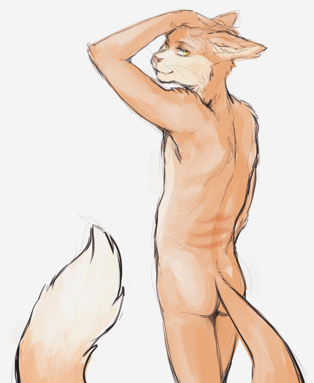 back butt canine cat feline fox foxcat hybrid imeow long_tail looking_at_viewer looking_back male mammal meow_(character) nude plain_background pose solo white_background yellow_eyes