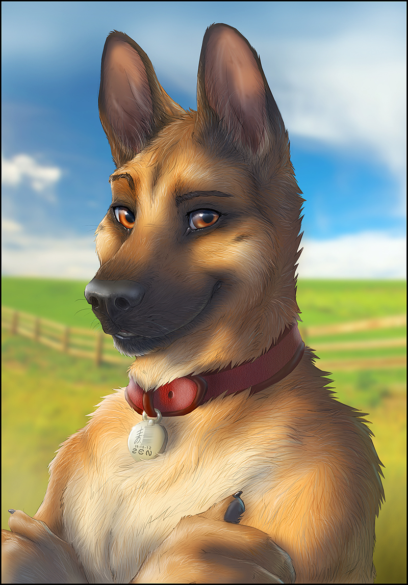 black_nose brown_eyes brown_fur canine cloud collar dog fence fur german_shepherd grass looking_at_viewer male mammal outside portrait sky smile solo zen