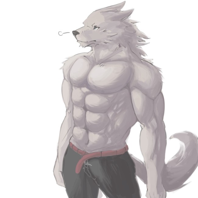 anthro belt biceps big_muscles blue_eyes breath canine clothed clothing fur grey_fur half-dressed male mammal muscles pants pecs plain_background pose solo standing topless unknown_artist white_background wolf