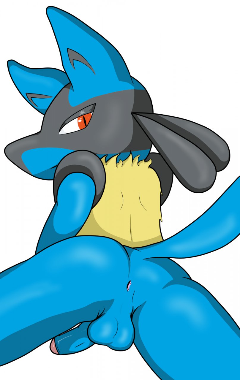 back balls butt canine half-closed_eyes jackal kk8812a looking_at_viewer looking_back lucario male mammal nintendo penis plain_background pok&#233;mon pok&eacute;mon raised_tail red_eyes solo video_games white_background