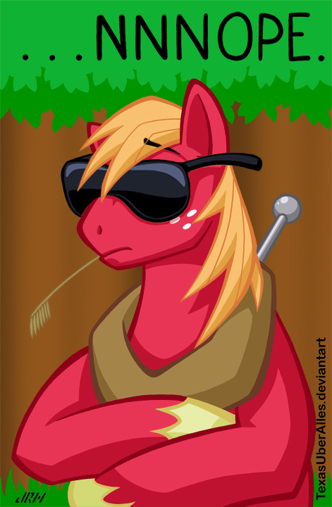 blonde_hair crossed_arms denied english_text equine eyewear forest freckles friendship_is_magic hair hat hooves horse image_macro male mammal my_little_pony nope pony reaction_image solo sunglasses texasuberalles text tree upright wood yoke