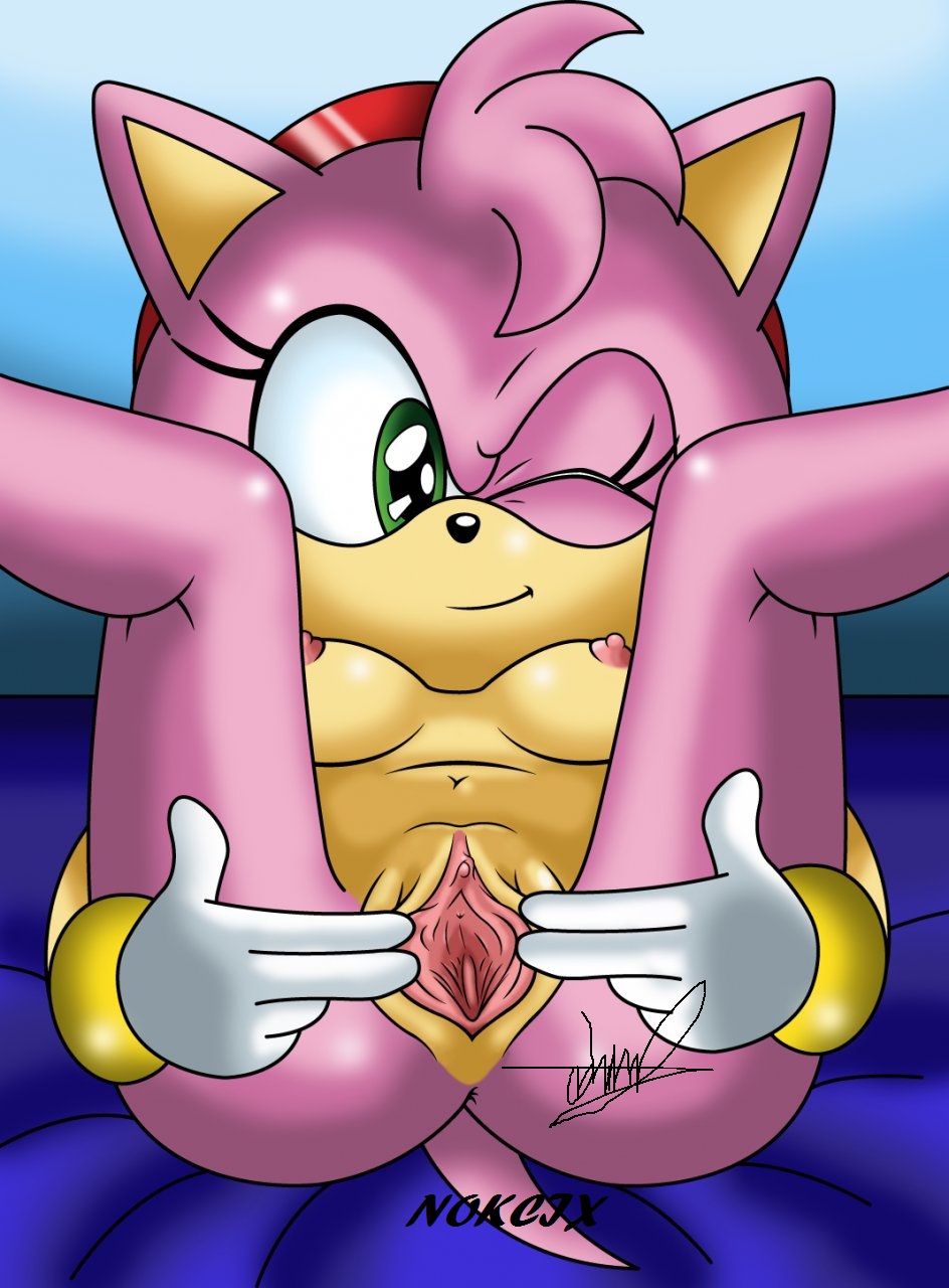 amy_rose anus butt first_person_view green_eyes hamme nokcix pussy sega sonic(series) sonic_(series) vaginal viewer