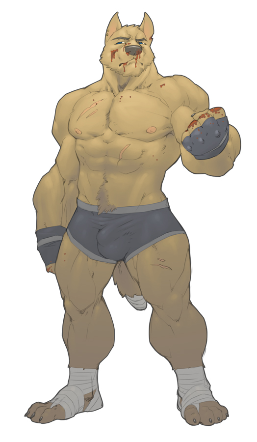 anthro bandage biceps big_muscles blood blue_eyes brown_fur bulge canine claws clothed clothing ear_piercing fighter flexing fur gloves half-dressed male mammal mma muscles nipples pecs piercing scar short shorts solo standing thewielder toe_claws topless ufc wolf wrestler