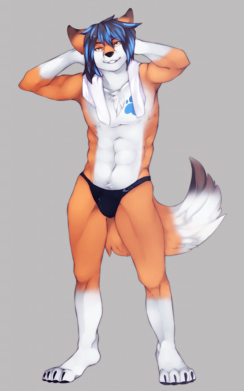abstract_background alty armpits biceps black_fur black_hair blue_hair brown_fur bulge canine claws fluffy_tail fox fur grey_background hair looking_at_viewer male mammal muscles ookami-kun open_mouth pawpads plain_background smile solo speedo swimsuit towel underwear white_fur yellow_eyes