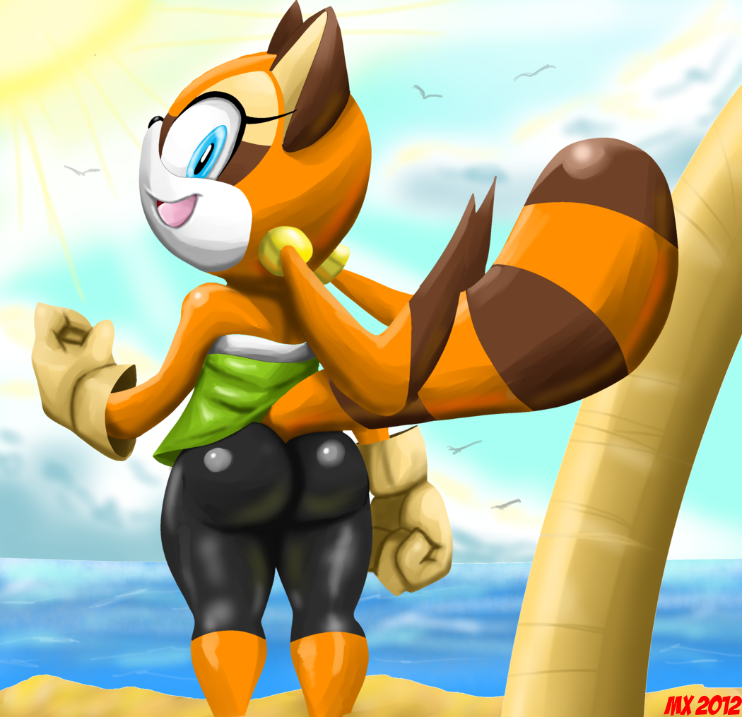 big_butt blue_eyes butt clothing female looking_at_viewer looking_back mammal marine_the_raccoon monkeyxflash raccoon sega smile sonic_(series) tight_clothing