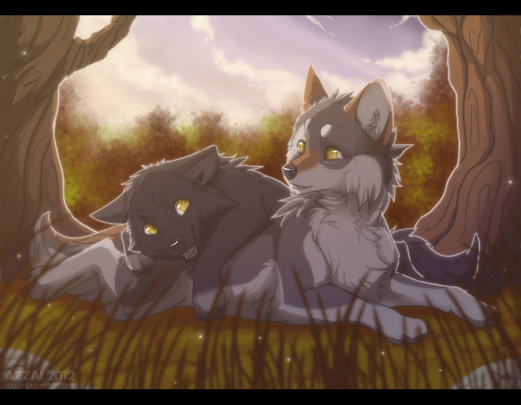 azzai canine feral forest grass mammal sky tree wolf yellow_eyes