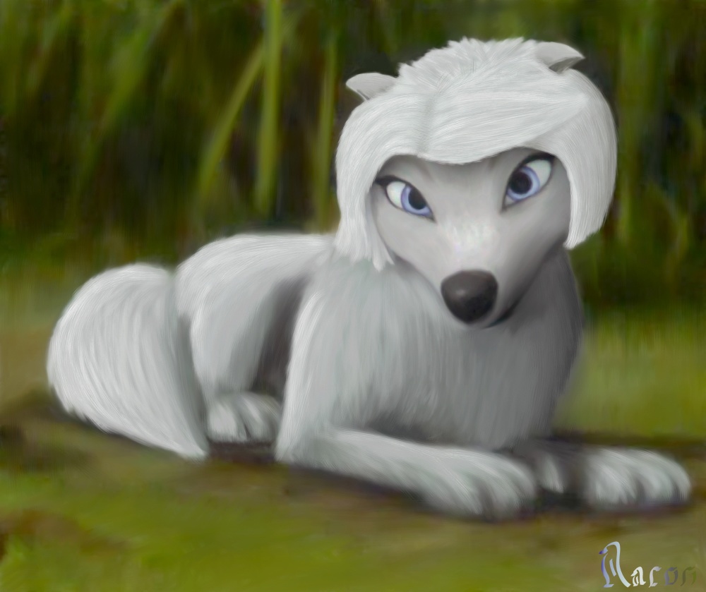 a black_nose blue_eyes canine female feral fur hair jasper jasper_park lilly lionsgate mammal omega_wolf raynaron white_fur white_hair wolf
