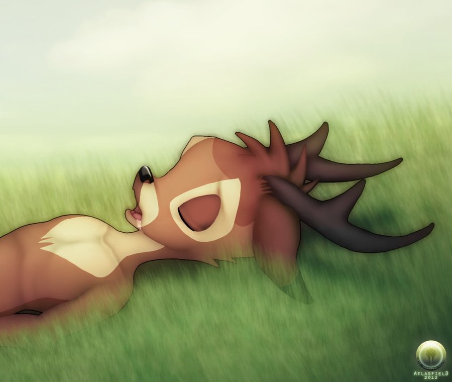 antlers atlasfield bambi drooling horn male saliva sleeping